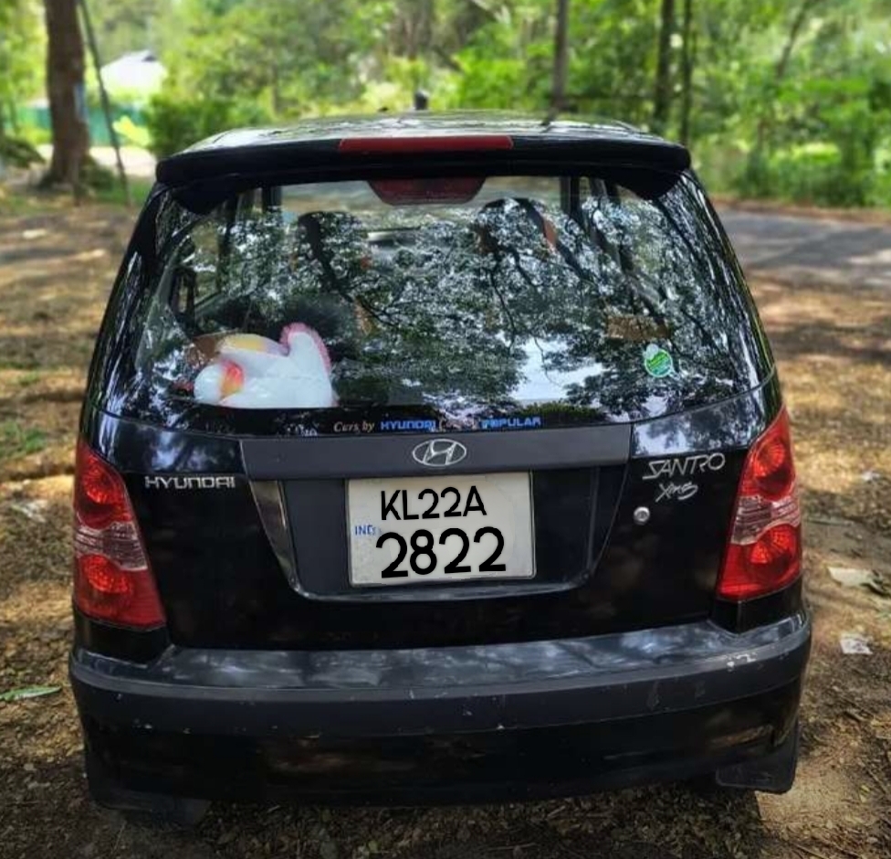 Hyundai Santro Xing(2008-2015) Gls